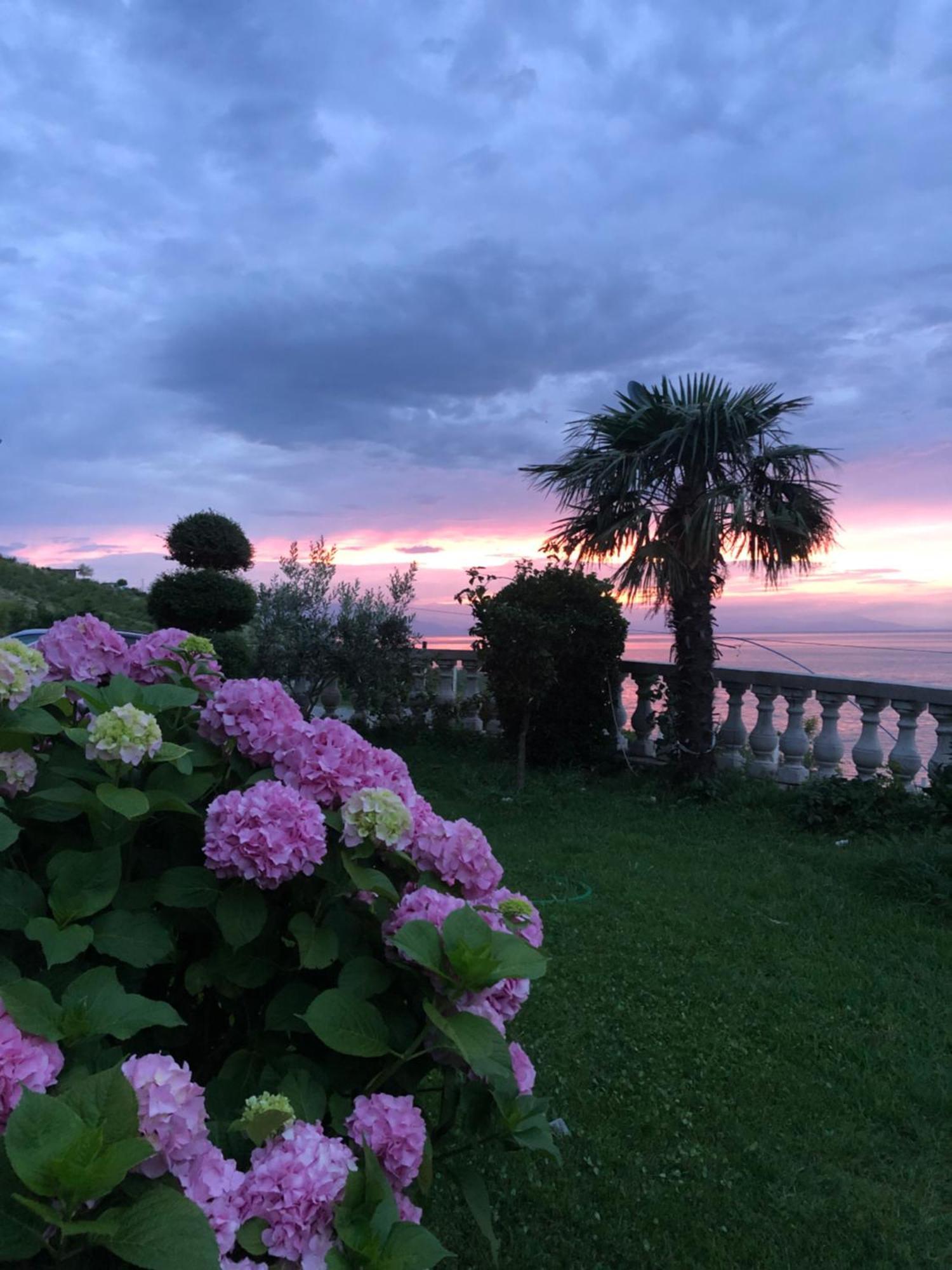Bella Vista Couette-café Shkodër